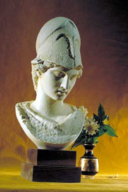Athene Athene