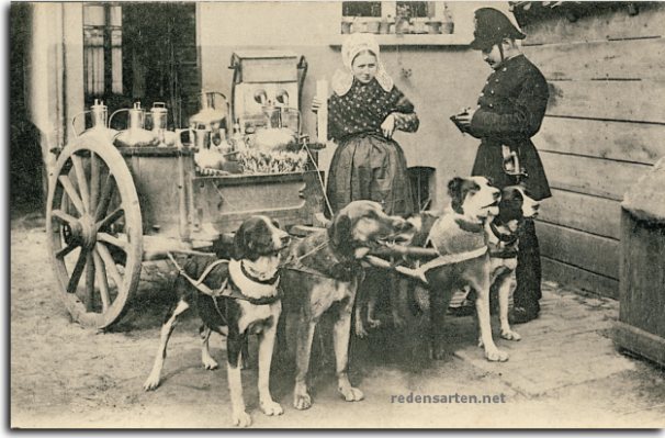 Milchfrau mit Hundegespann