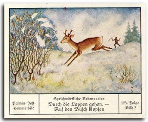 Durch die Lappen gehen Lappjagd
